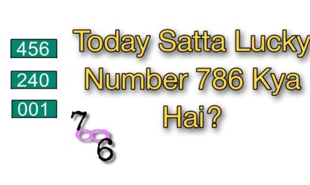 Satta Lucky Number Today | 786 Kya Hai?