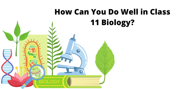 How Can You Do Well in Class 11 Biology?