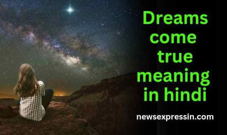 Dreams come true meaning in hindi