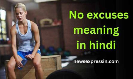 No excuses meaning in hindi | no excuses का मतलब क्या होता है?
