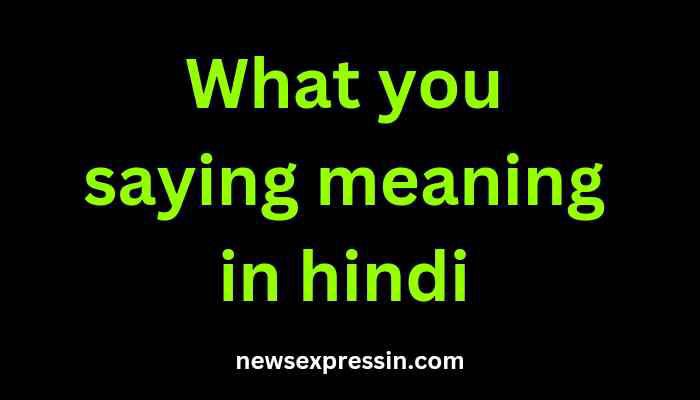 What you saying meaning in hindi