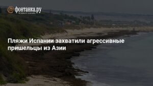 Агрессивные пришельцы из Азии захватили пляжи Испании