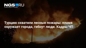 Лесные пожары в Турции: огонь окружил города, есть жертвы