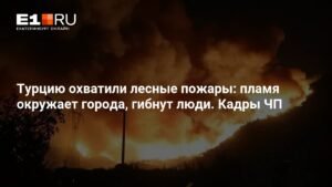 Лесные пожары в Турции: пламя угрожает городам, растет число жертв