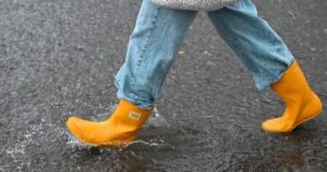 Штормовое предупреждение объявлено в Ростовской области из-за непогоды