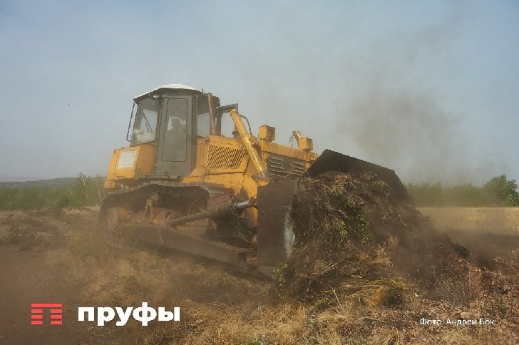 Башкирские фермеры потеряли 500 млн рублей из-за проблем с экспортом зерна