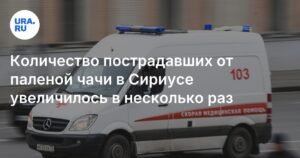 Число пострадавших от паленой чачи в Сириусе выросло в разы