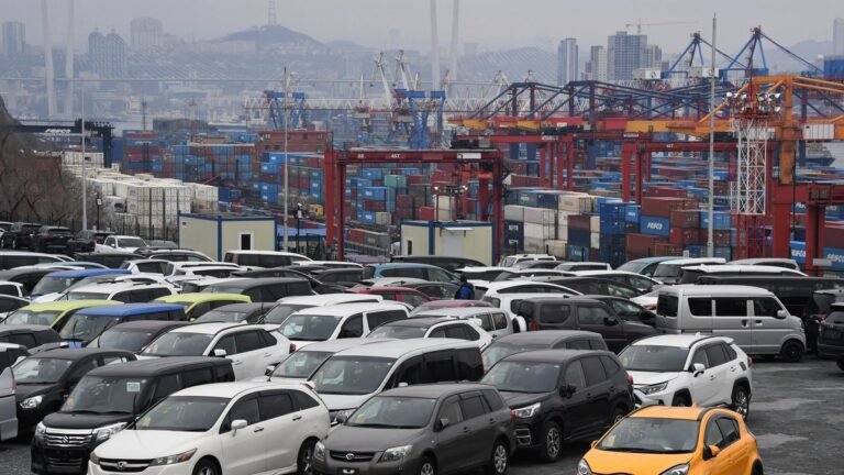 Доля альтернативного импорта автомобилей в России составила 48%