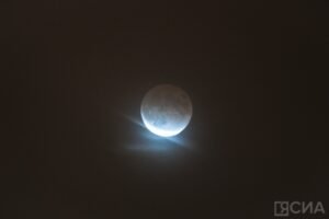 Гороскоп на неделю с 11 по 17 августа: астрологический прогноз для всех знаков зодиака