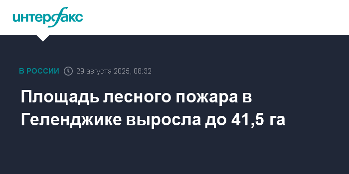 Лесной пожар в Геленджике: площадь возгорания увеличилась до 41,5 га