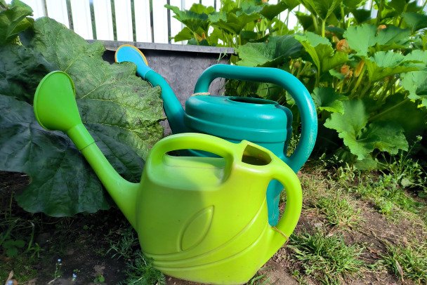 Новые правила для дачников: что можно и что нельзя с 1 сентября