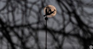 Осетровая Луна в Водолее: что ожидать 9 августа