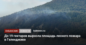 Площадь лесного пожара в Геленджике увеличилась до 19 гектаров
