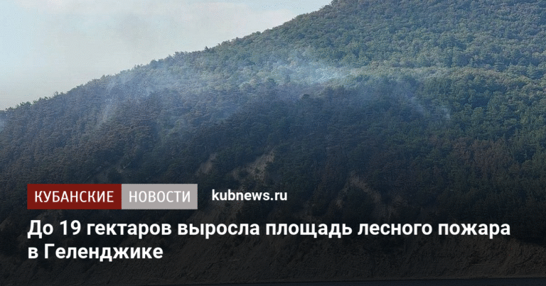 Площадь лесного пожара в Геленджике увеличилась до 19 гектаров