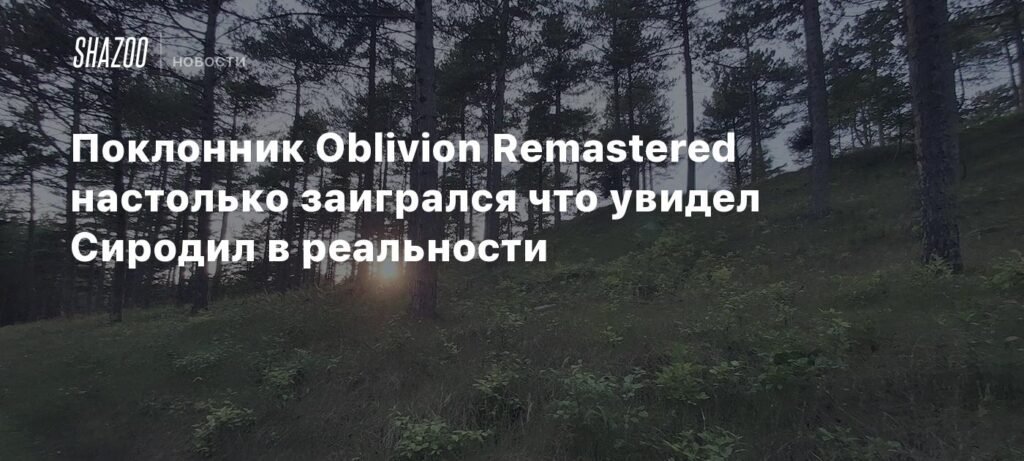 Поклонник Oblivion Remastered увидел Сиродил в реальности