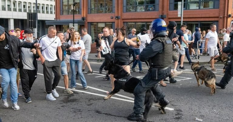 Протесты против беженцев в отелях: столкновения с полицией