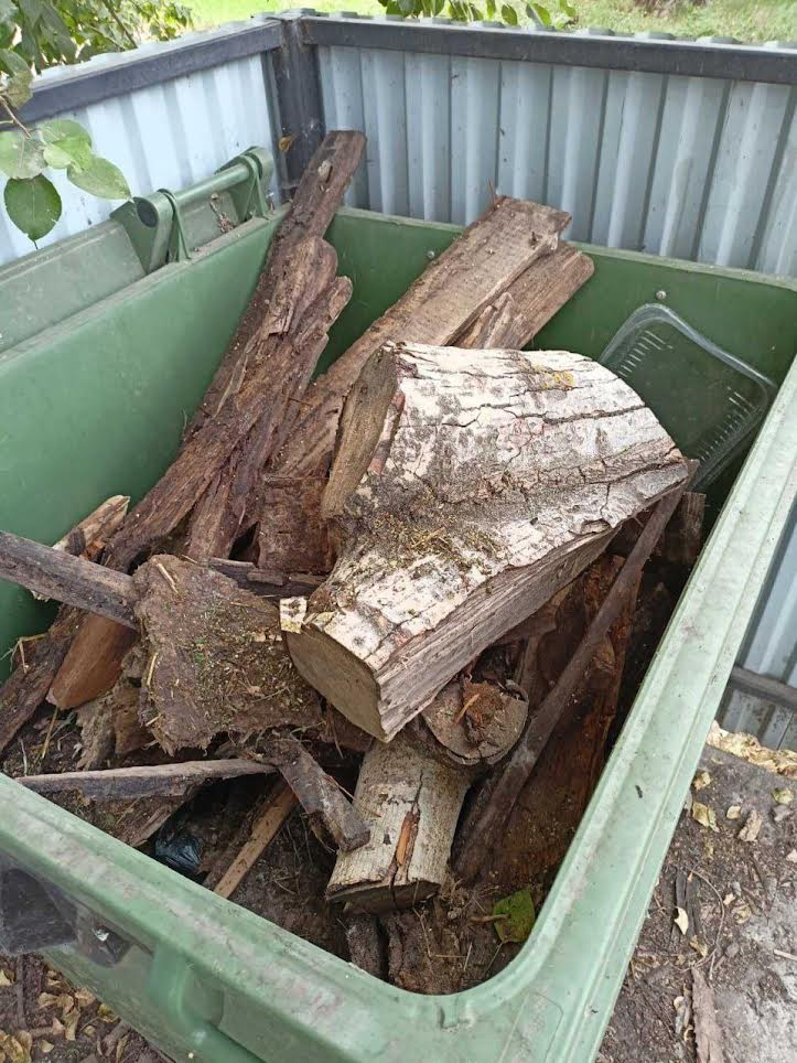 С 1 сентября в Чувашии изменится порядок утилизации древесно-растительных отходов