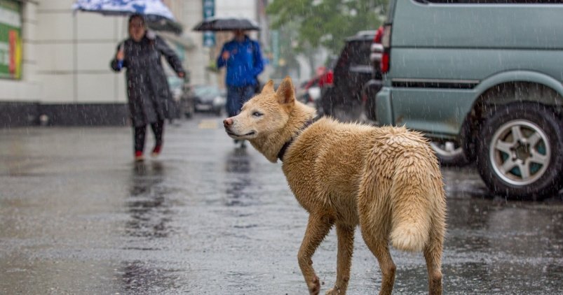 Сильные ливни и град ожидаются в Иркутской области