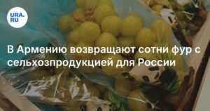 Сотни фур с сельхозпродукцией возвращаются в Армению из-за проблем на границе с Россией