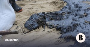 Суд взыскал 49,4 млрд рублей с владельца и фрахтователя танкера «Волгонефть-212»