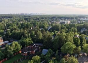 Тайная жизнь Екатерины Стриженовой: роскошный особняк и затворнический образ жизни