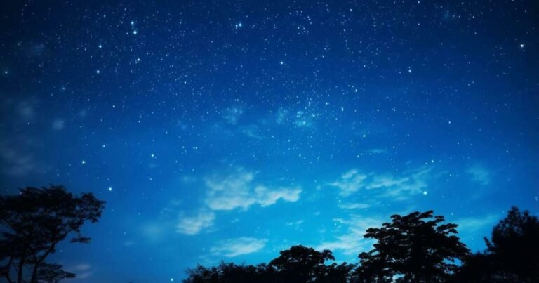 Тамара Глоба предсказала карьерный успех Овнам в августе