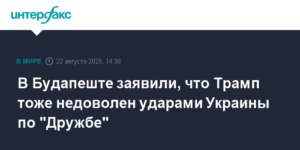 Трамп выразил недовольство ударами Украины по нефтепроводу 'Дружба'