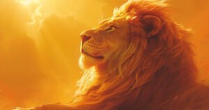 Три знака зодиака, которых Вселенная одарит вниманием в конце августа