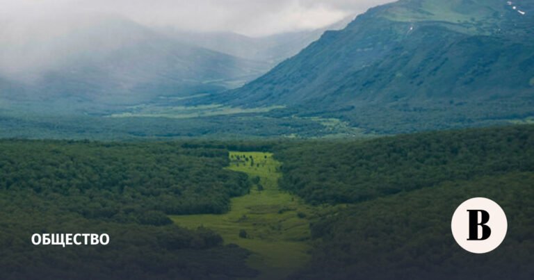 Землетрясение на Камчатке: южная часть полуострова сместилась на 2 метра