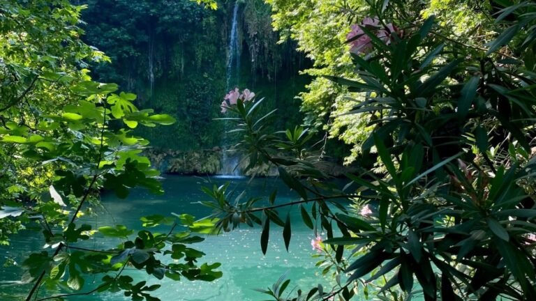 Депутат из Уфы Джеффри Монсон: от грэпплера до политика