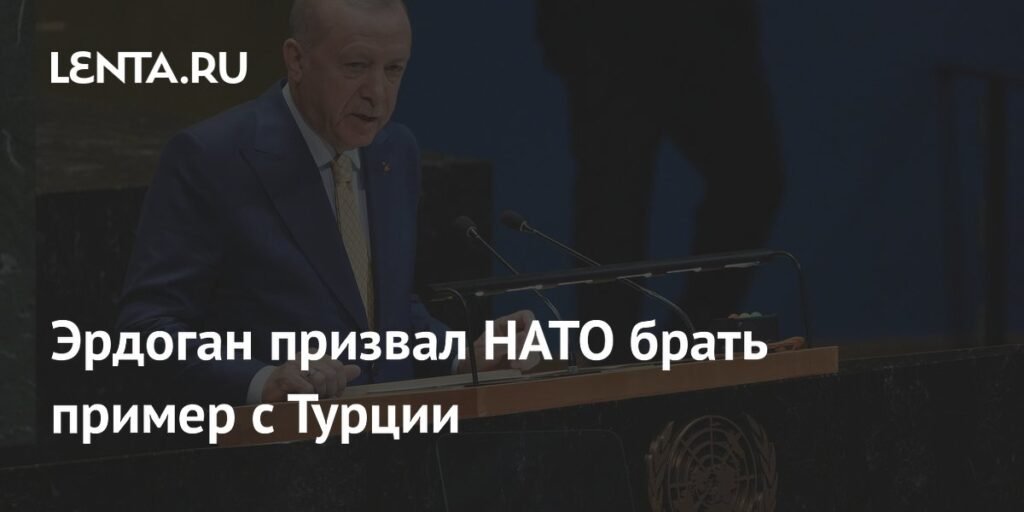 Эрдоган: НАТО должна равняться на Турцию в отношениях с РФ и Украиной