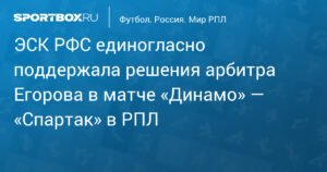 ЭСК РФС поддержала решения арбитра Егорова в матче «Динамо» — «Спартак»