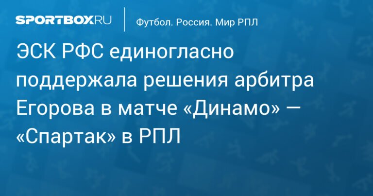 ЭСК РФС поддержала решения арбитра Егорова в матче «Динамо» — «Спартак»