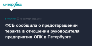 ФСБ предотвратила теракт в отношении руководителя ОПК в Петербурге