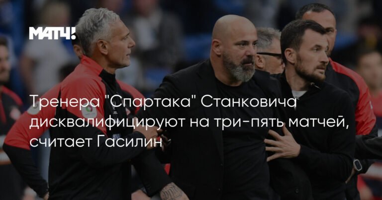 Гасилин: Тренеру Станковичу грозит дисквалификация на 3-5 матчей