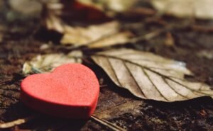 Гороскоп на 25 сентября: Овен конфликтует, Телец доверяет интуиции