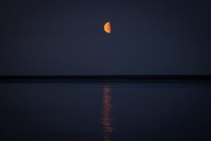 Гороскоп на неделю с 15 по 21 сентября 2025 года: астрологический прогноз для всех знаков зодиака