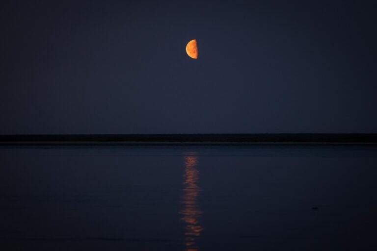 Гороскоп на неделю с 15 по 21 сентября 2025 года: астрологический прогноз для всех знаков зодиака