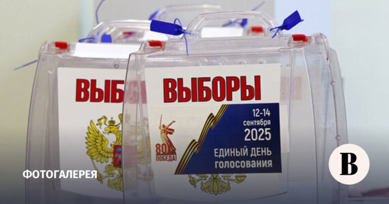 Губернаторские выборы 2025: официальные результаты и победители