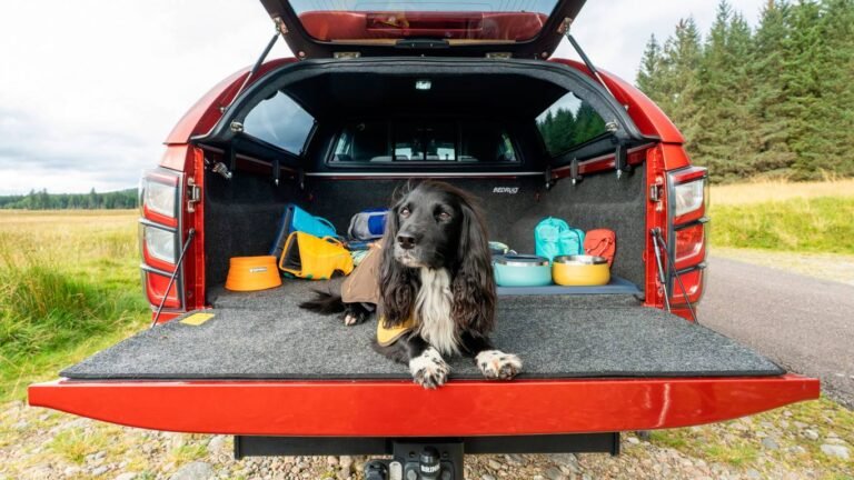 Isuzu D-Max для собак: комфортные поездки с Ruffwear