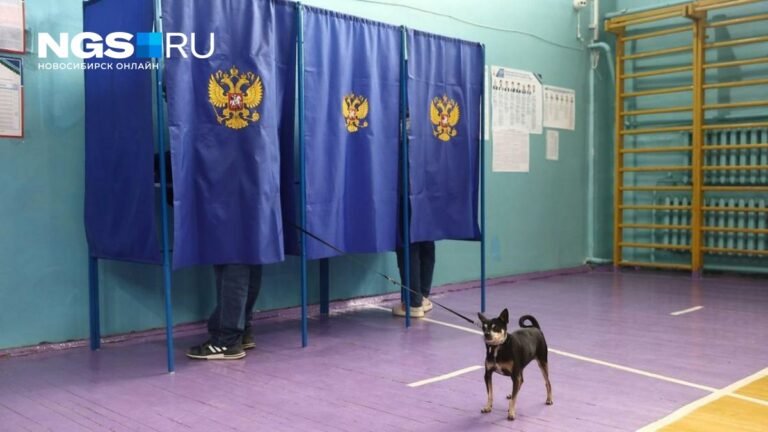 Итоги выборов и новая станция метро в Новосибирске: главные новости за 14 сентября