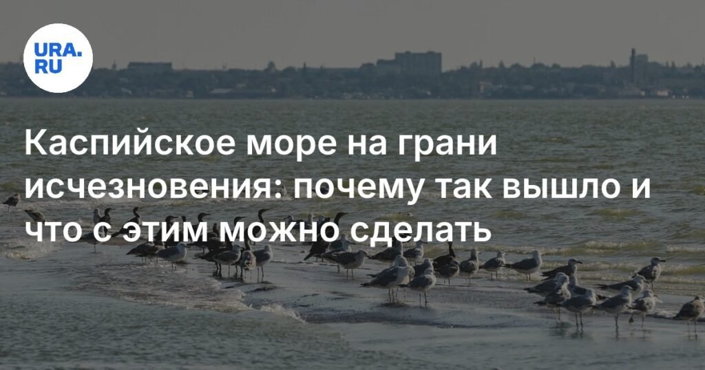 Каспийское море: экологическая катастрофа и пути решения