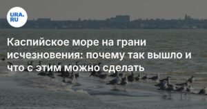 Каспийское море: экологическая катастрофа и пути решения