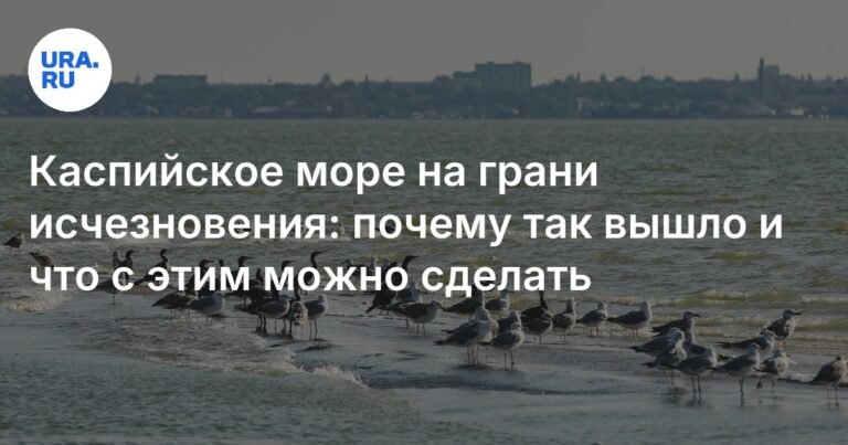 Каспийское море: экологическая катастрофа и пути решения