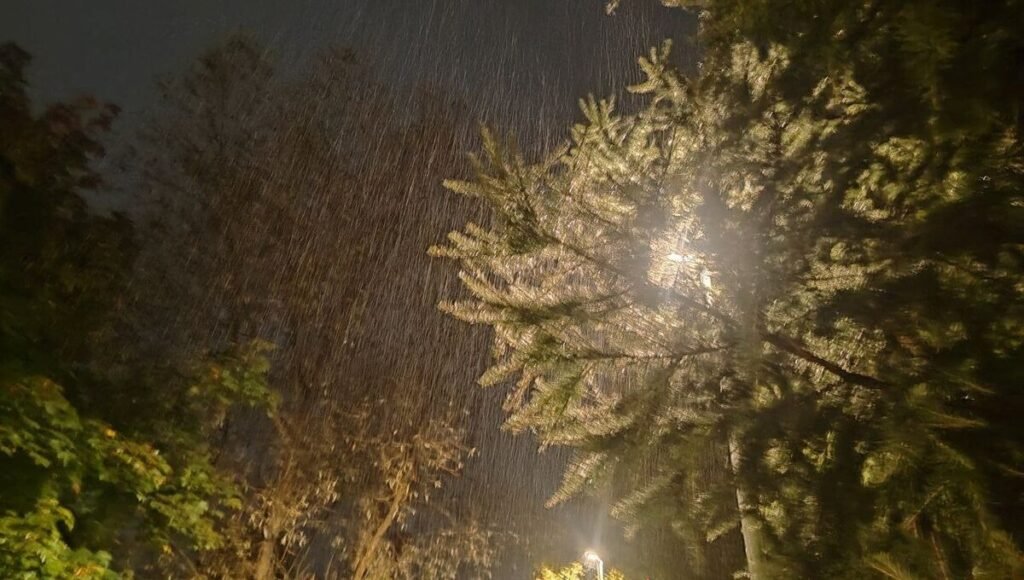 Холодные дожди и мокрый снег ожидаются в Подмосковье