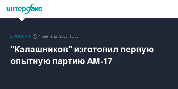 Концерн «Калашников» выпустил первую партию малогабаритных автоматов АМ-17