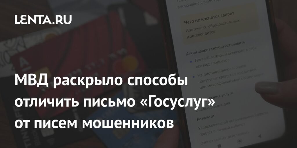 МВД раскрыло способы защиты от фишинга при получении писем от «Госуслуг»