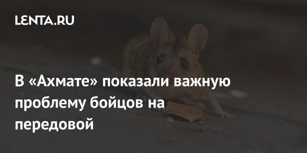 Мыши на передовой: спецназ «Ахмат» раскрывает проблему