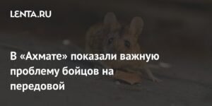 Мыши на передовой: спецназ «Ахмат» раскрывает проблему