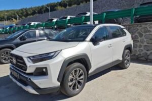 Параллельный импорт автомобилей в Россию упал на 40%